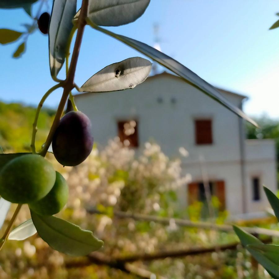 Apartmán Ca'Rosei Monteciccardo Exteriér fotografie