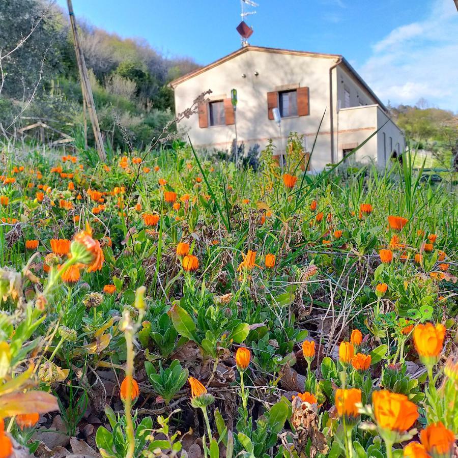 Apartmán Ca'Rosei Monteciccardo Exteriér fotografie
